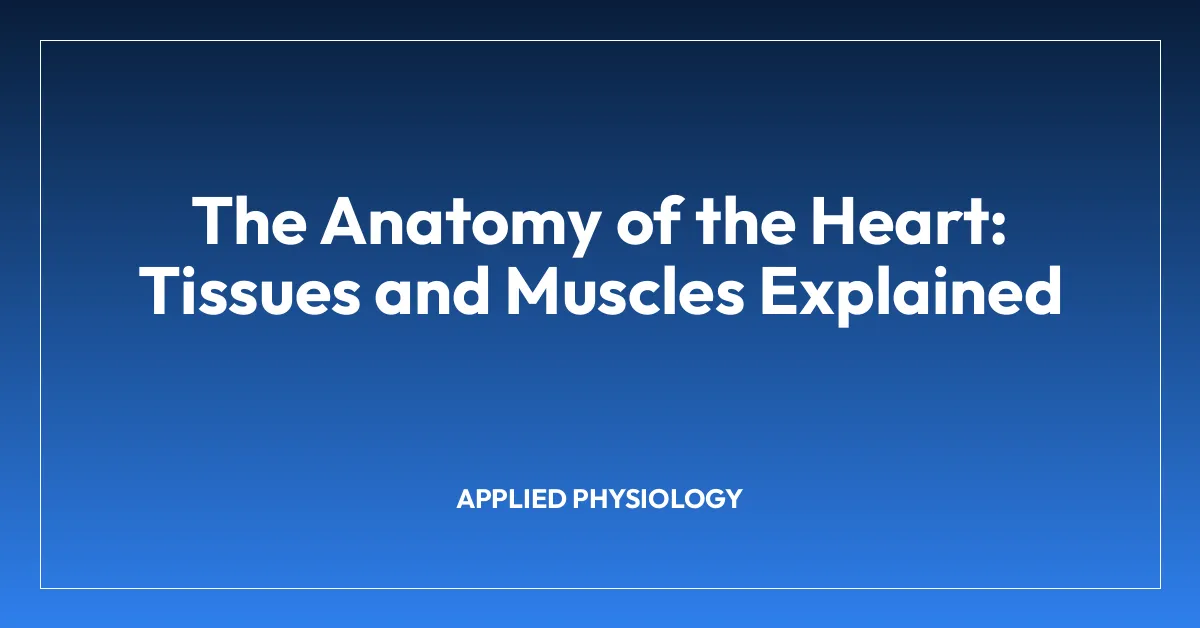 The Anatomy of the Heart: Tissues and Muscles Explained