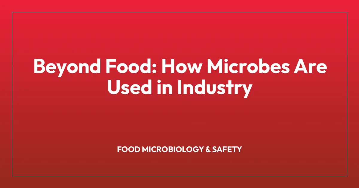 Beyond Food: How Microbes Are Used in Industry