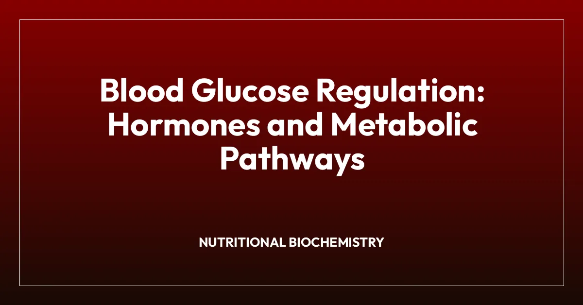 Blood Glucose Regulation: Hormones and Metabolic Pathways
