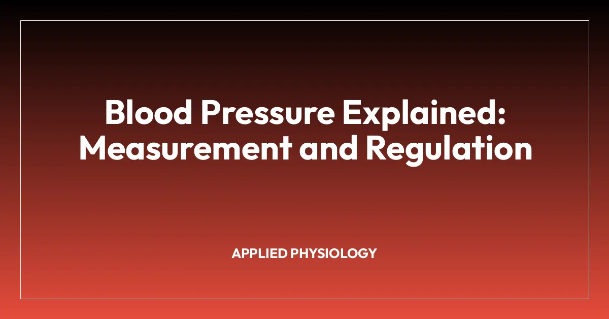 Blood Pressure Explained: Measurement and Regulation