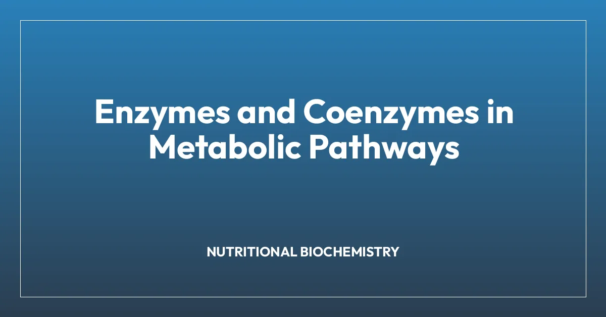 Enzymes and Coenzymes in Metabolic Pathways