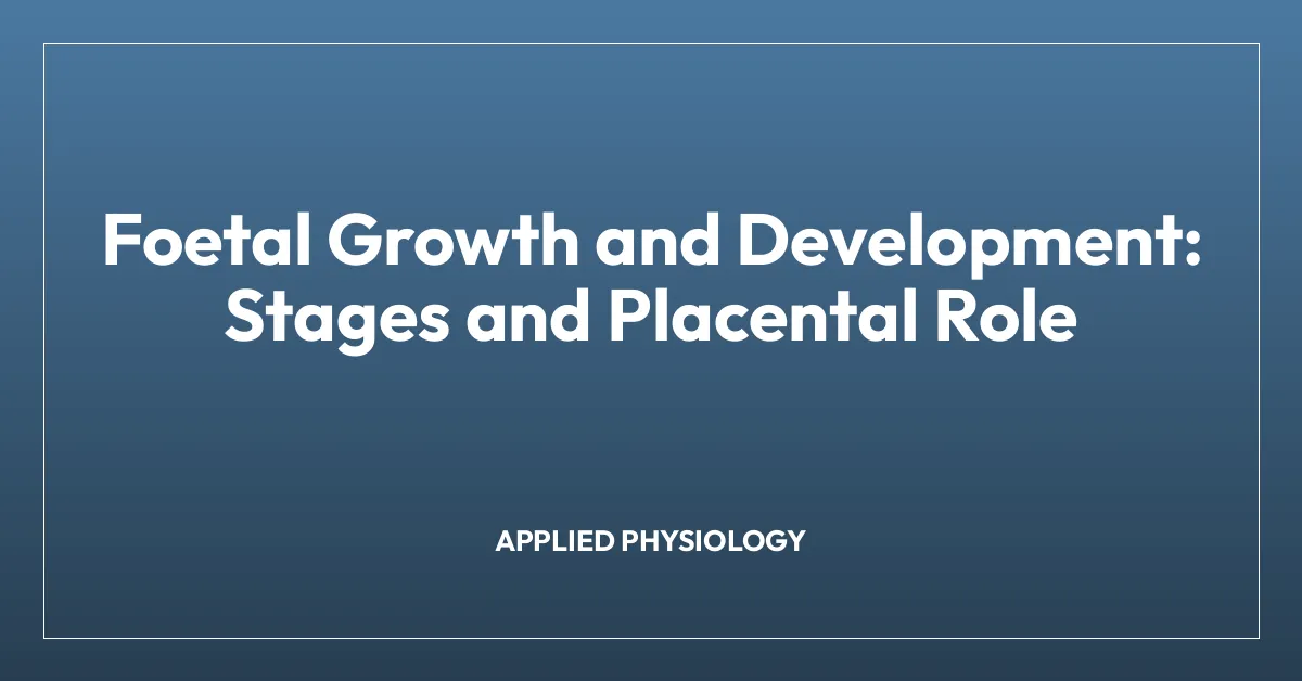 Foetal Growth and Development: Stages and Placental Role