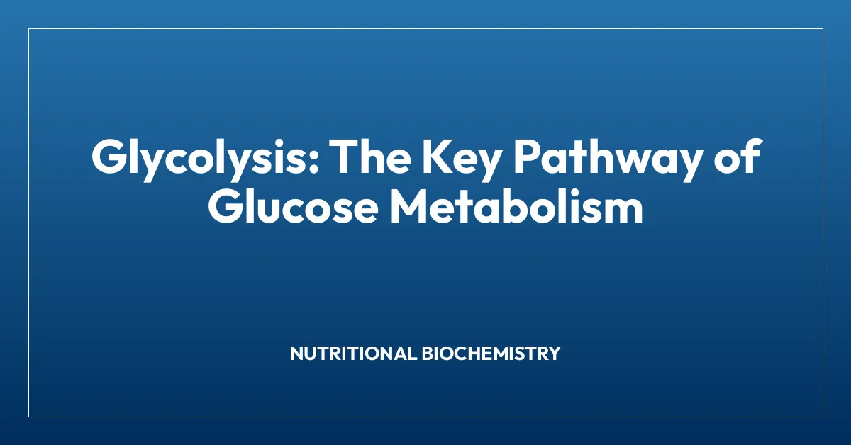 Glycolysis: The Key Pathway of Glucose Metabolism