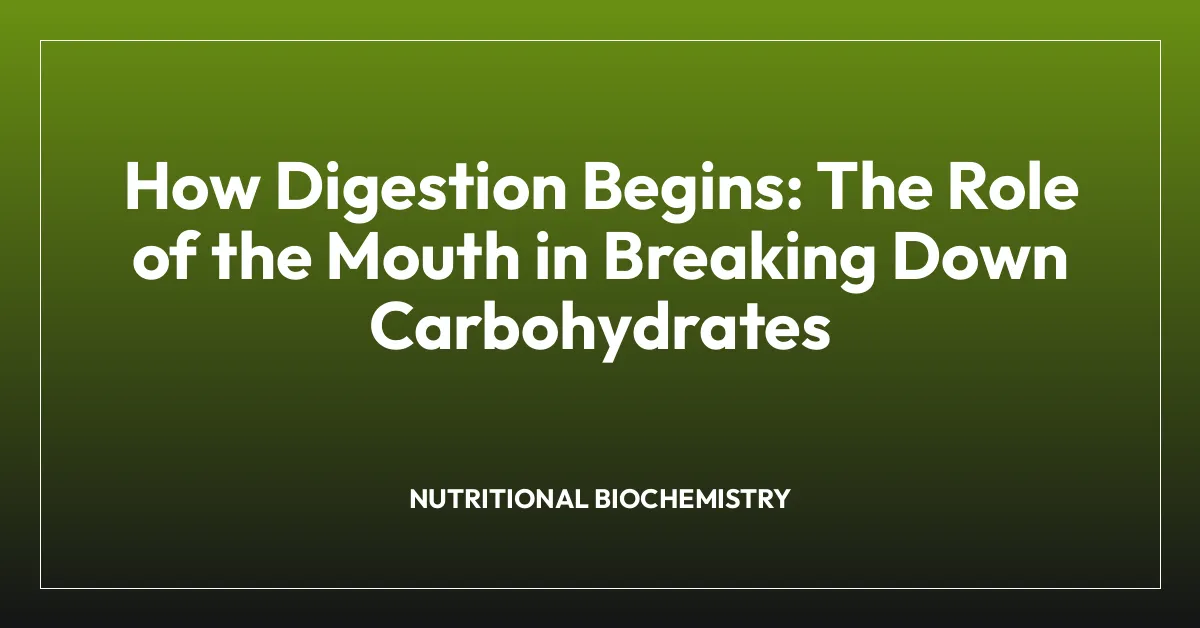 How Digestion Begins: The Role of the Mouth in Breaking Down Carbohydrates