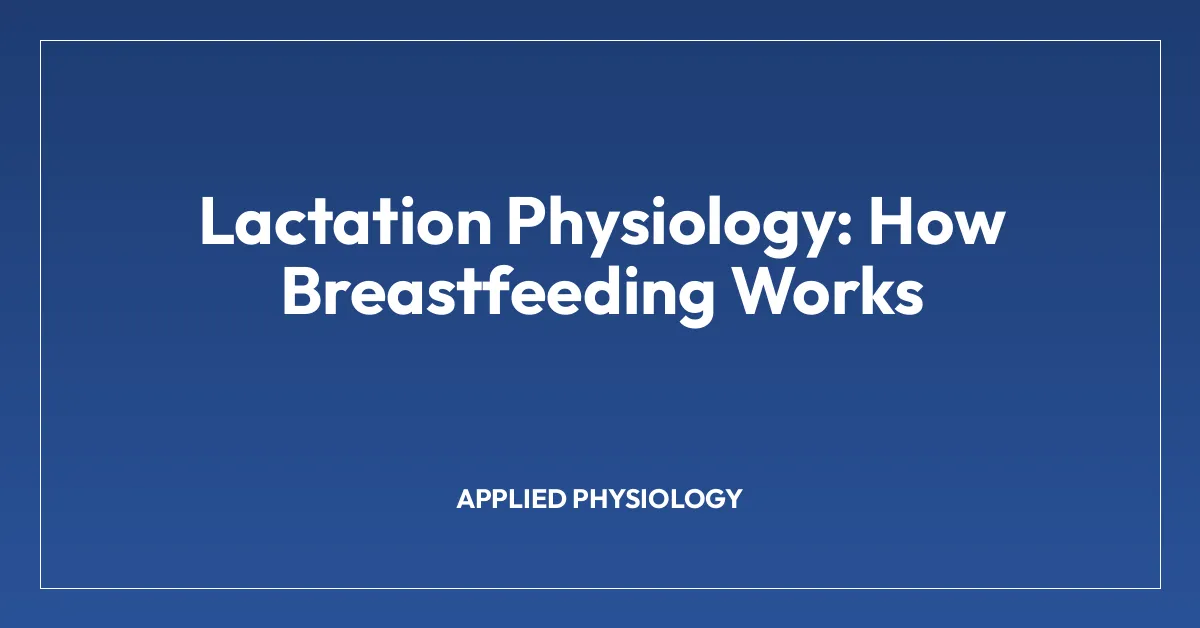 Lactation Physiology: How Breastfeeding Works