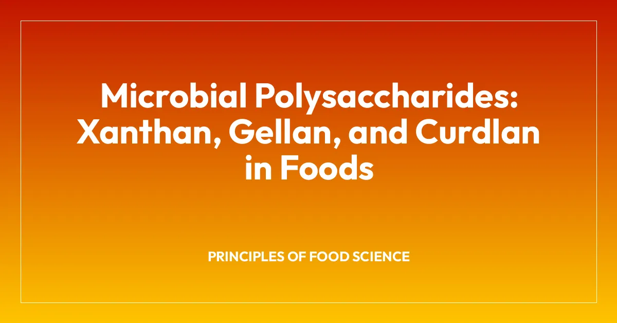 Microbial Polysaccharides: Xanthan, Gellan, and Curdlan in Foods