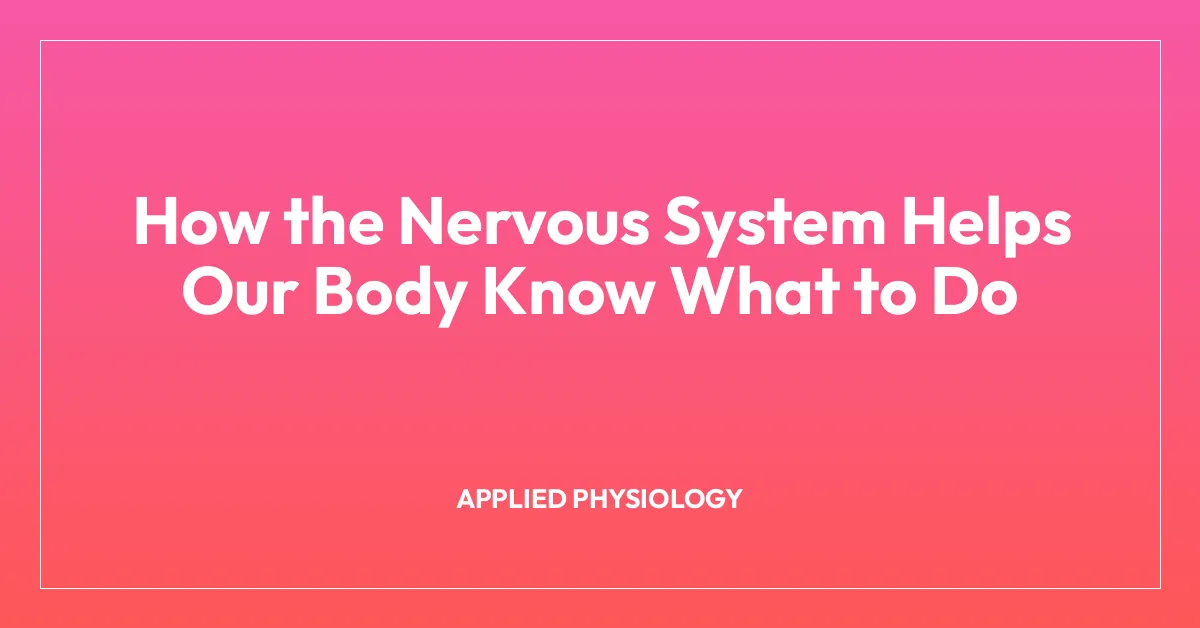 How the Nervous System Helps Our Body Know What to Do