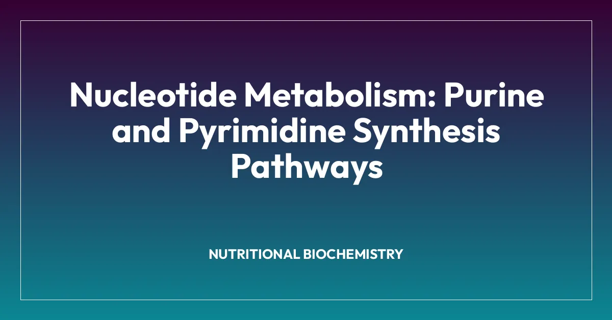 Nucleotide Metabolism: Purine and Pyrimidine Synthesis Pathways