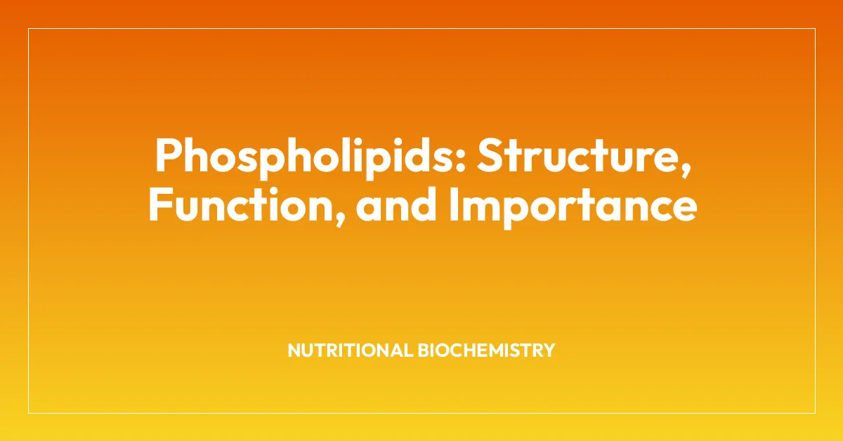 Phospholipids: Structure, Function, and Importance