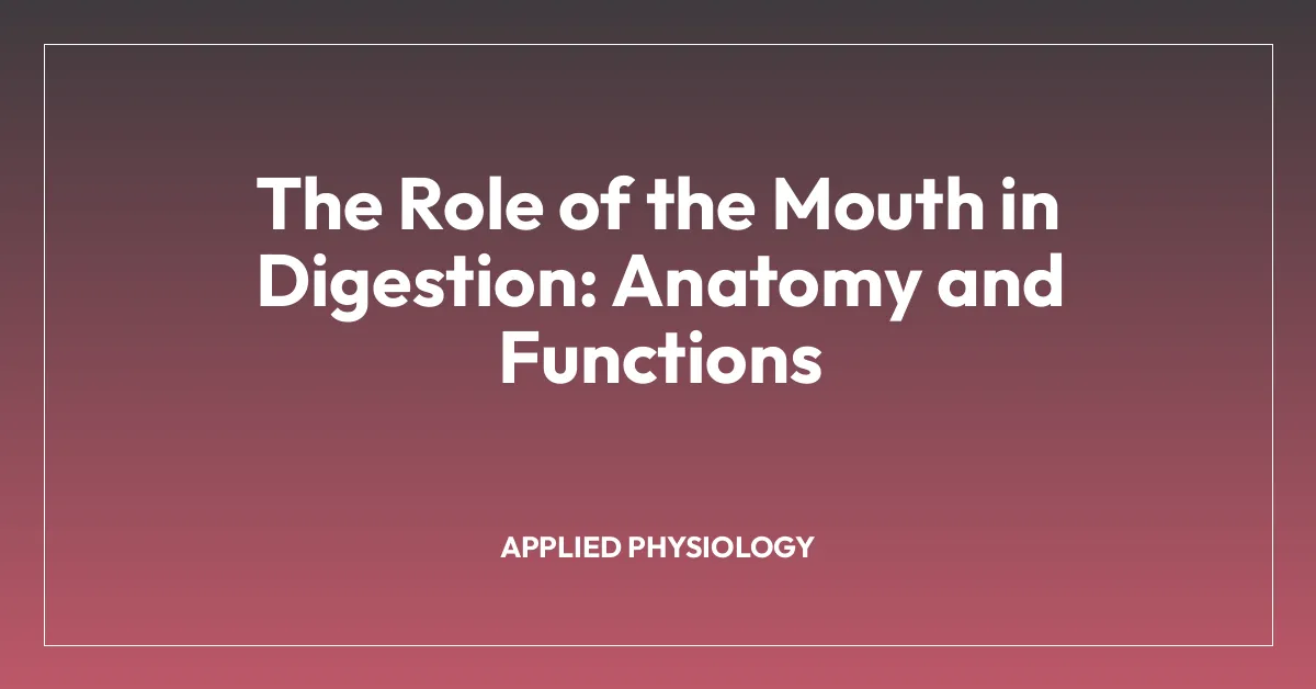 The Role of the Mouth in Digestion: Anatomy and Functions