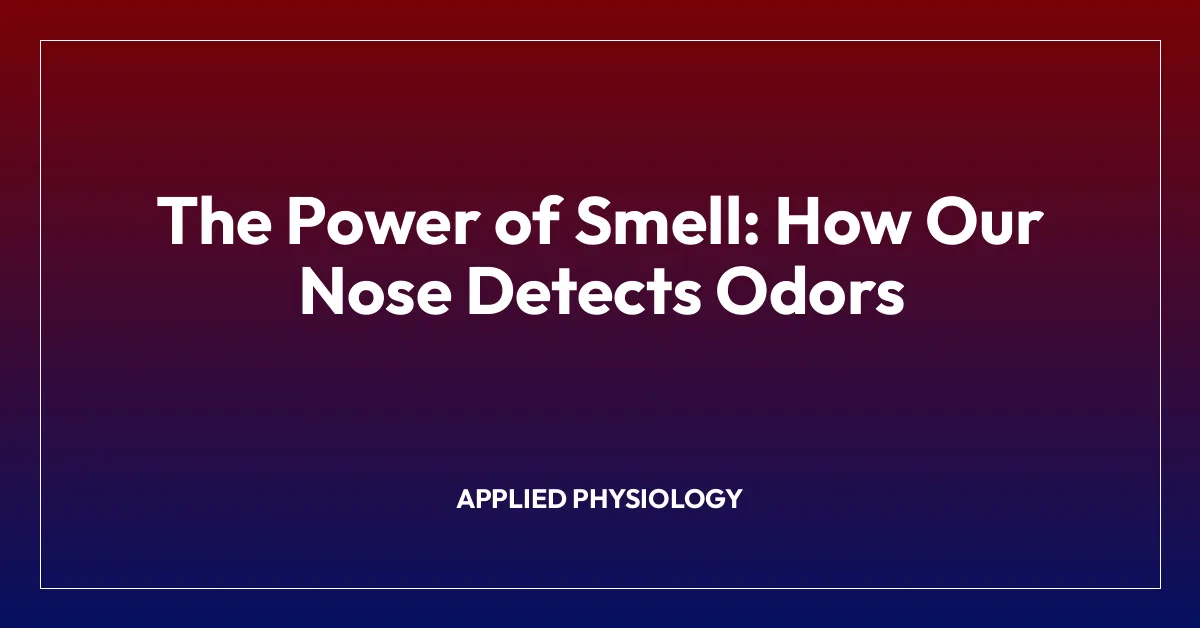 The Power of Smell: How Our Nose Detects Odors