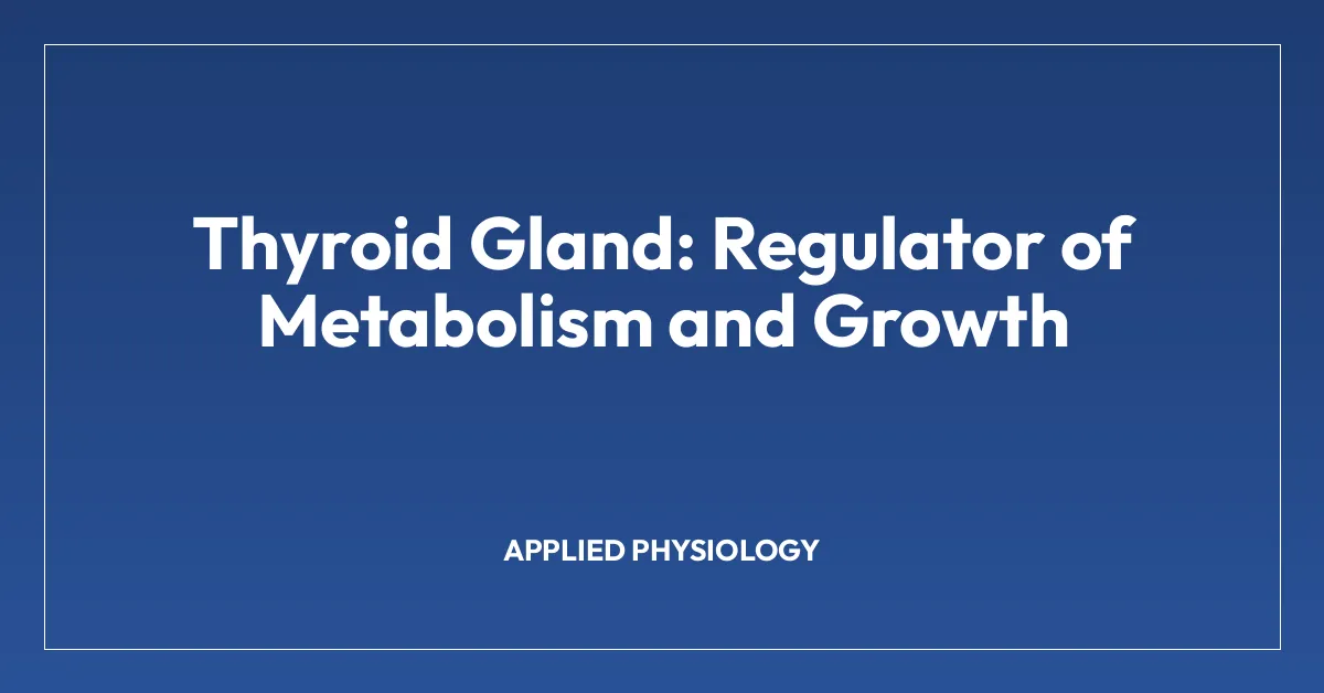 Thyroid Gland: Regulator of Metabolism and Growth