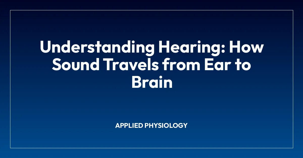 Understanding Hearing: How Sound Travels from Ear to Brain