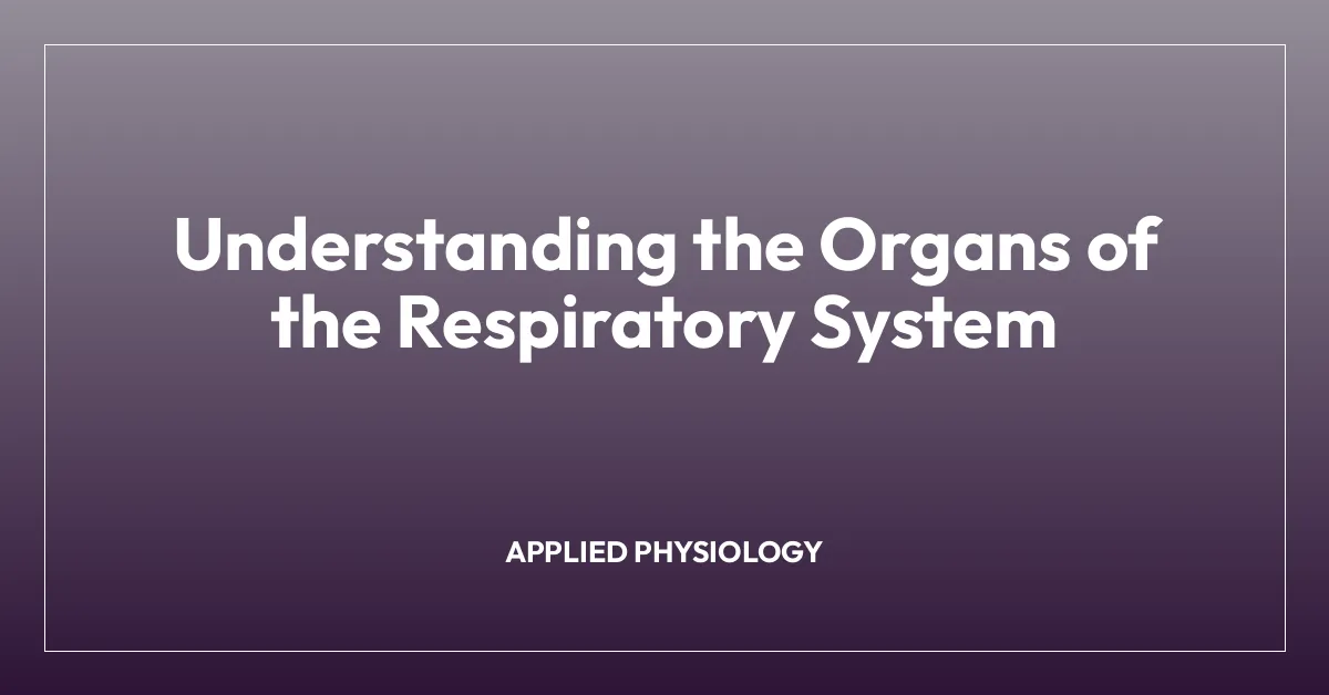 Understanding the Organs of the Respiratory System
