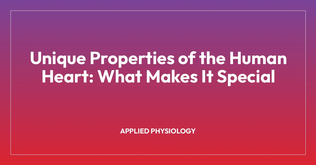 Unique Properties of the Human Heart: What Makes It Special